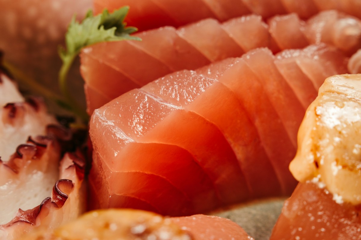 La saupe en sashimi : un poisson oublié qui révèle son élégance crue